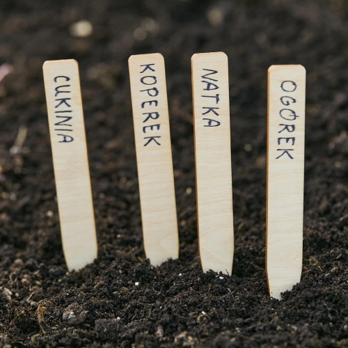 ZNACZNIKI ROŚLIN DREWNIANE EKO ETYKIETY POLSKIE 25szt-ceaef83131d7259e0592f29f36f49fe1.jpg